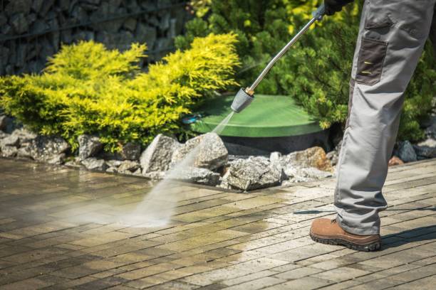 Best Spring Cleaning  in Lattingtown, NY