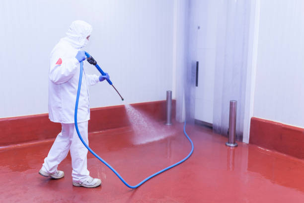 Best Paint Preparation  in Lattingtown, NY